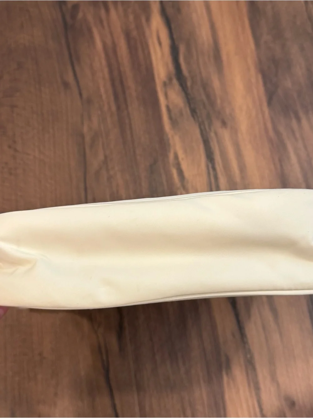 Aritzia Sunday Best Goldie Bag